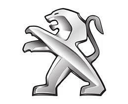 Peugeot KEY Code Only Peugeot KEY Code Only